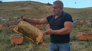 Karslı arı adam sınırları zorluyor