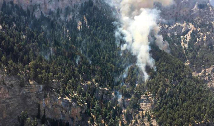 Toroslar'da Refüjdeki Yangın Paniğe Yol Açtı